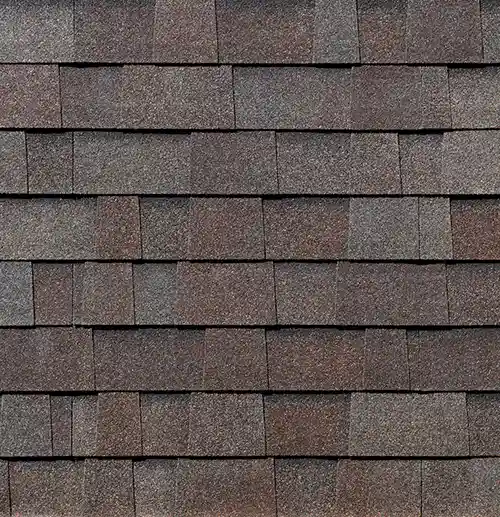 Heather Malarkey Shingles Highlander